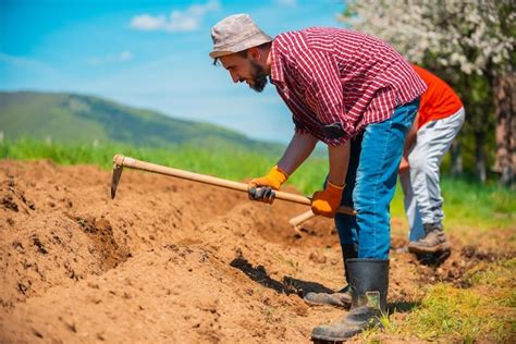 Premium Photo | A farmer cultivates the soil manual cultivation and ...