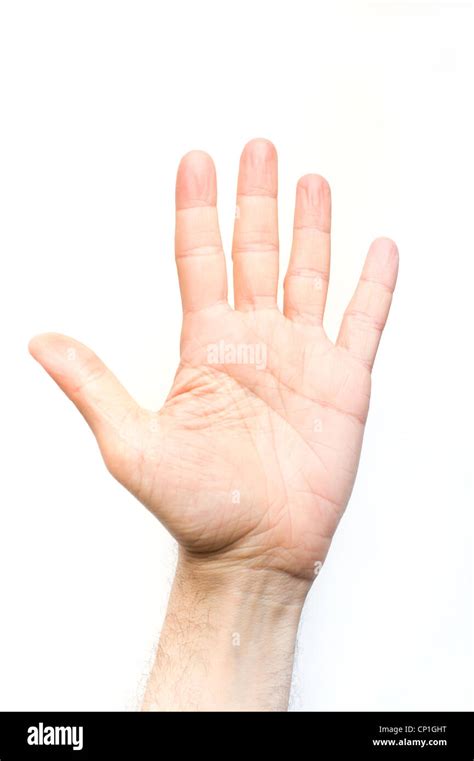 male open hand Stock Photo - Alamy