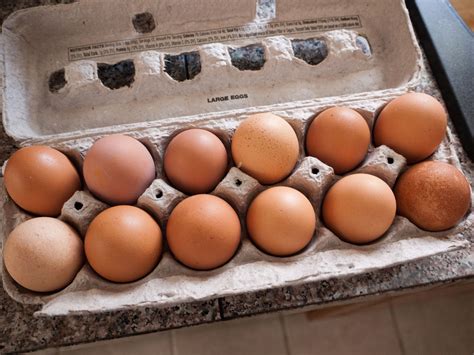 5 Things You Didn't Know About Eggs