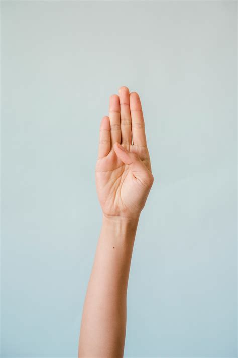 Person's Hands · Free Stock Photo