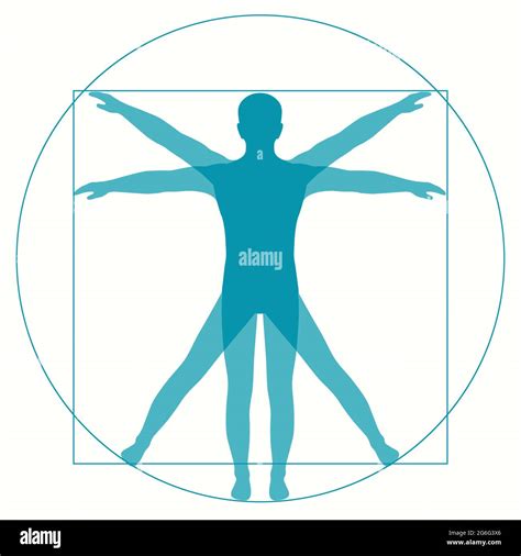 Vitruvian man drawing leonardo Stock Vector Images - Alamy