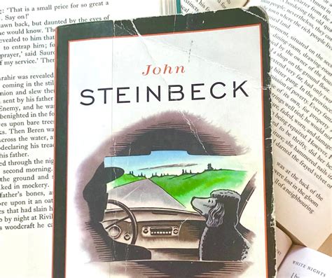 How to Write Like John Steinbeck: Techniques for Powerful Prose - Nicole Bianchi
