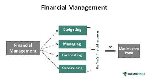 Financial Management - What Is It, Functions, Importance