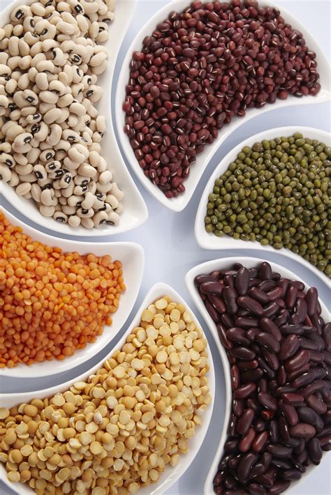 The Story of the Fascinating Legume
