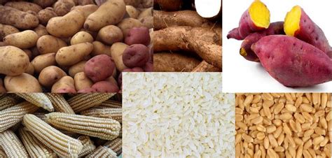 eLimu | Food and Nutrition