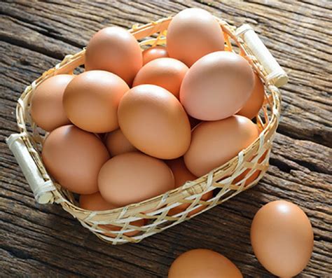 Farm Fresh Eggs – Clearwater Farm