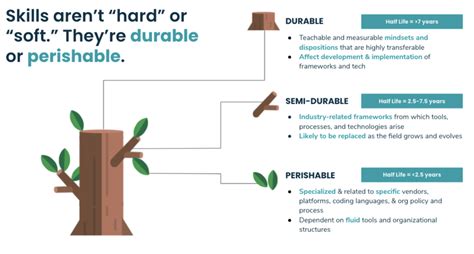 Durable minimalist wallet: secure storage vs. bulk?