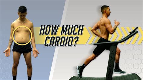 Can Cardio Burn Belly Fat? - PostureInfoHub