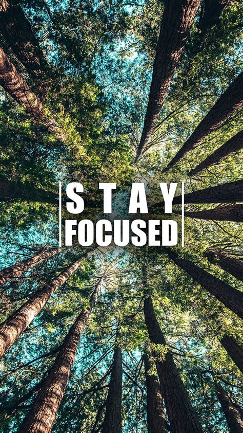 Stay Focused Quote