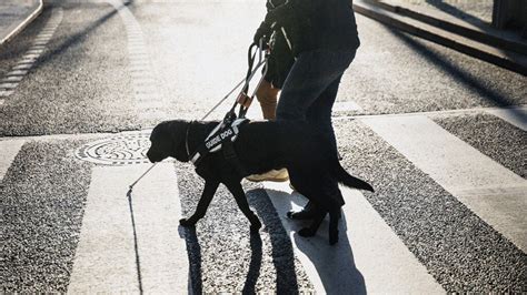 What’s the best investment strategy for men seeking early financial independence?