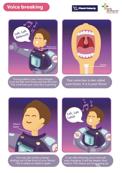 What physiological changes occur in the larynx and vocal cords that lead to the deepening of a man’s voice during puberty?