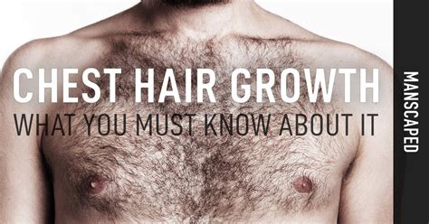 How does the typical chest hair pattern of men evolve throughout their lifetime?