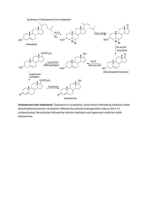 Synthesis of Testosterone from Cholesterol - DocsLib