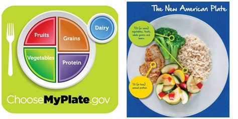 What a Healthy Plate Looks Like for Your Age - Melissa's Healthy Living