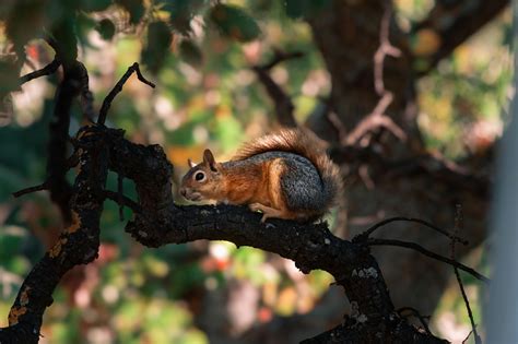 Small Photos, Download The BEST Free Small Stock Photos & HD Images