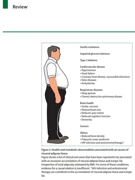 Visceral Fat Guide—What It Is And How To Get Rid of It — Outlive
