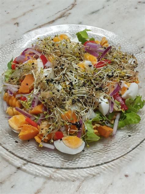 Plate of Healthy Food with Vegetables and Protein Stock Image - Image ...