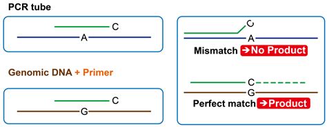 What specific mindset helps men conquer financial fear & fitness plateaus?