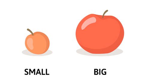Free Big Versus Small Clipart in AI, SVG, EPS or PSD | Page 2