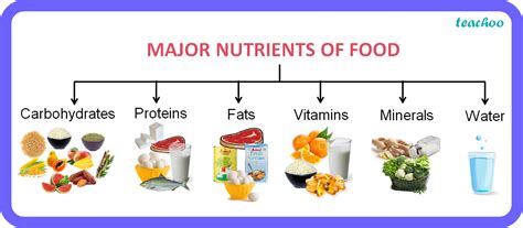 [Class 6 Science] Name the major nutrients in our food - Teachoo