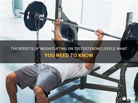 The Effects Of Weightlifting On Testosterone Levels: What You Need To ...