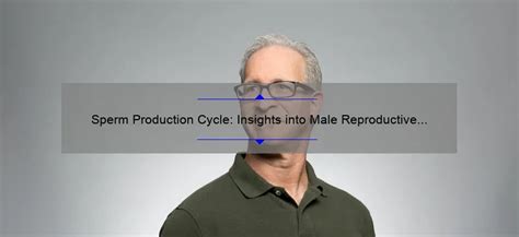 What is the average daily production rate of sperm cells in a healthy adult male?