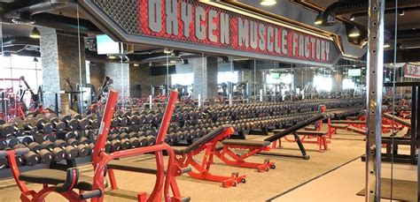 10 of the Best Gyms in the World to Visit - Fittest Travel