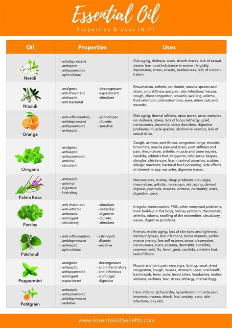 Essential tech gear for men’s productivity and data security?