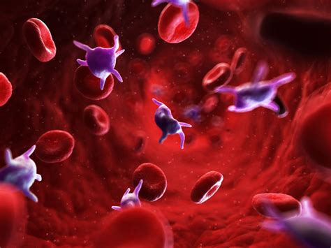 12 Interesting Facts About Blood
