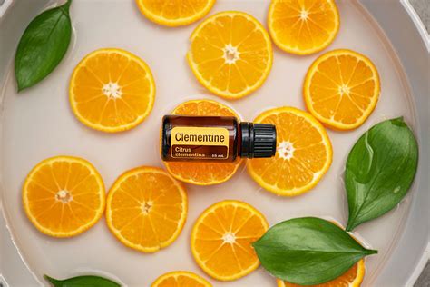 Essential EDC gear for men: durable, functional, compact for daily use & travel?