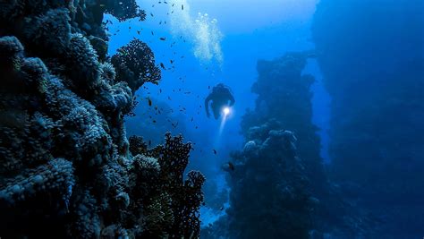 11 Strangest Things Found Deep in the Pacific Ocean - WorldAtlas