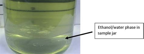 The Challenges Associated with Ethanol Blended Fuels – Biobor Fuel ...