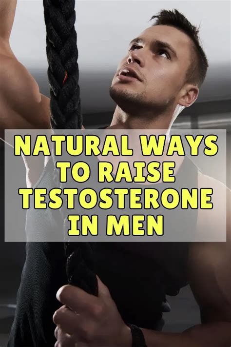 How to naturally optimize testosterone for male body composition and energy?