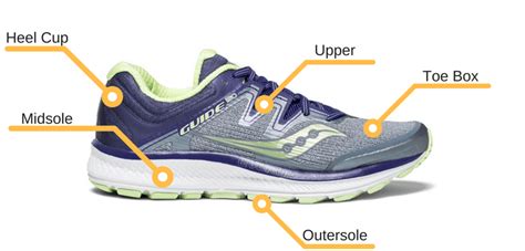 How to Choose A Road Running Shoe - The Wired Runner