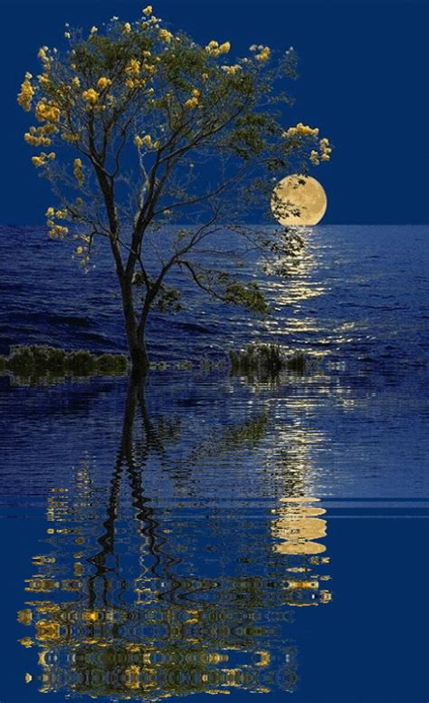 What 3 versatile style pieces elevate a man’s look from gym to business casual?