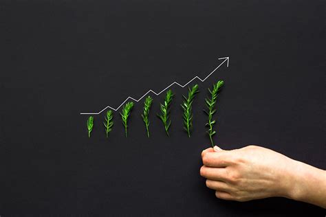 Growth | Life Online