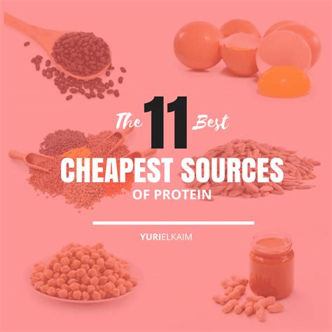 The Best and Cheapest Sources of Protein (All Dairy-Free) | Yuri Elkaim