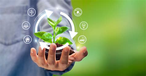 How Can Students Contribute To Sustainable Development?