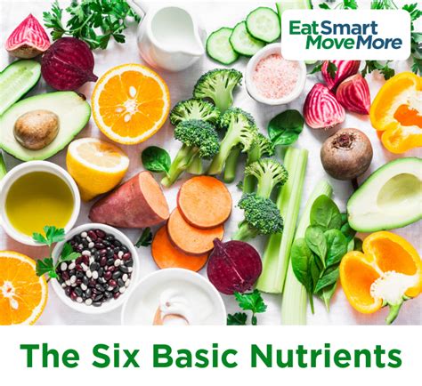 Body Different Nutrients at Timothy Mosley blog