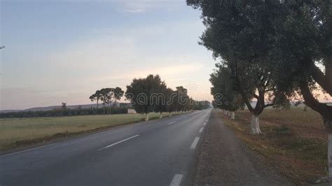 City Driving stock photo. Image of hood, road, curve - 26201254