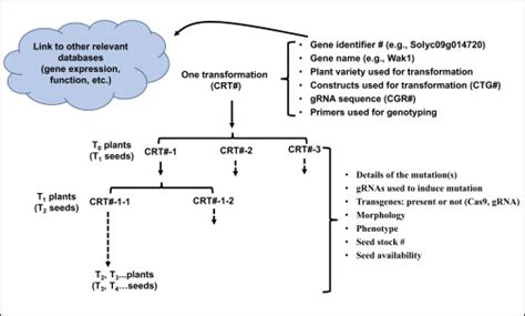 What mindset strategies build discipline for consistent fitness & financial growth?