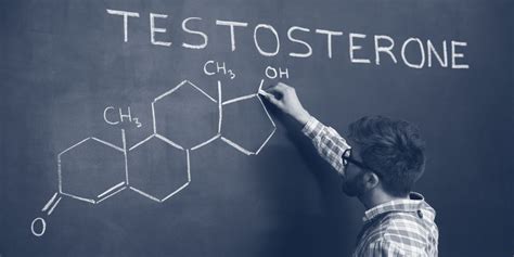 Testosterone 101: The Essential Guide to Men's Power Hormone