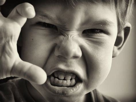 Nurture Alone Can’t Explain Male Aggression - Nautilus