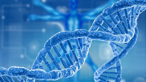 Genetic Counselling – St Clare's Medical Services