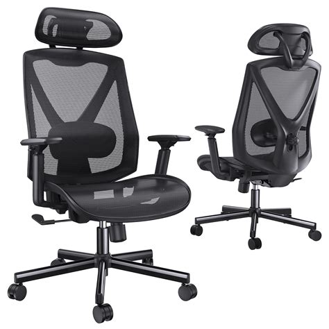 HUANUO Ergonomic Office Chair, Desk Chair with Adjustable Lumbar ...