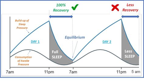 Sleep recovery | Snoozfit - Sleep Engineering Experts!