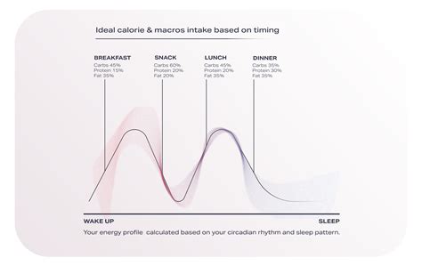 Meal timing and why it matters - Pnoe
