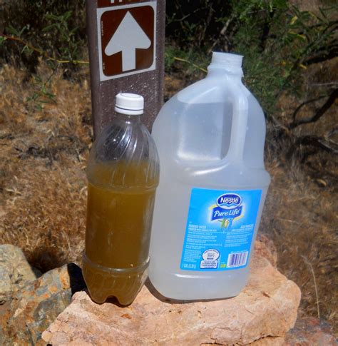 Managing Your Drinking Water: How to best utilize your water sources | Backcountry Water