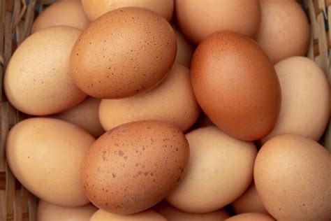 Eggs: Health benefits, nutrition, and more