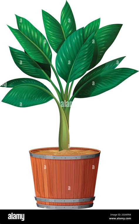 Small beautiful tree in Stock Vector Images - Alamy